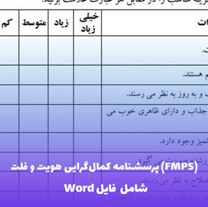 پرسشنامه کمال گرایی هویت و فلت (FMPS) | فایل Word قابل ویرایش