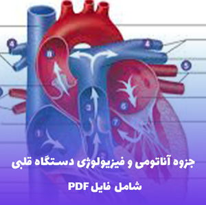 جزوه آناتومی و فیزیولوژی دستگاه قلبی | فایل PDF کاربردی