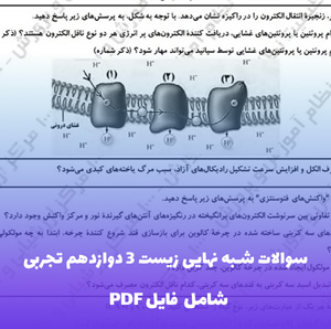 سوالات شبه نهایی زیست 3 دوازدهم تجربی | آمادگی کامل امتحان