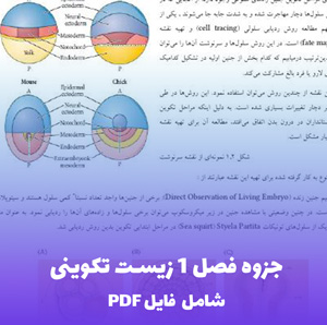 جزوه فصل 1 زیست تکوینی PDF | خلاصه مفهومی با فایل