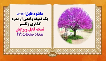 دانلود فایلword  یک نمونه واقعی از نمره گذاری وتفسیر نسخه قابل ویرایش تعداد صفحات:17