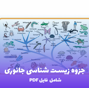 جزوه زیست شناسی جانوری (PDF) | مرجع کامل و کاربردی