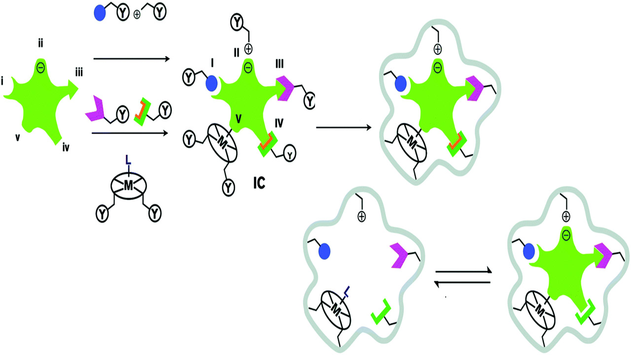 پاورپوینت پلیمرهای قالب مولکولی
