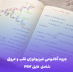 جزوه آناتومی فیزیولوژی قلب و عروق (PDF) – دانلود کامل و کاربردی