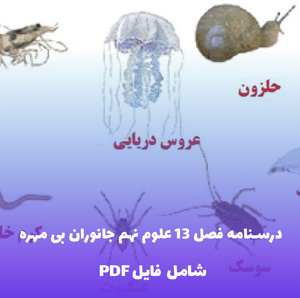 درسنامه فصل 13 علوم نهم جانوران بی مهره | PDF خلاصه و مفهومی