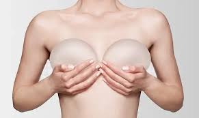 پاورپوینت پستان (ppt) 45 اسلاید