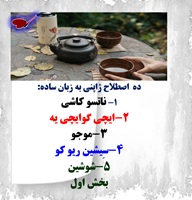 ده  اصطلاح ژاپنی به زبان ساده: 1- ناتسو کاشی 2-ایچی گوایچی یه 3-موجو 4-سِیشین ریو کو 5-شوشین
